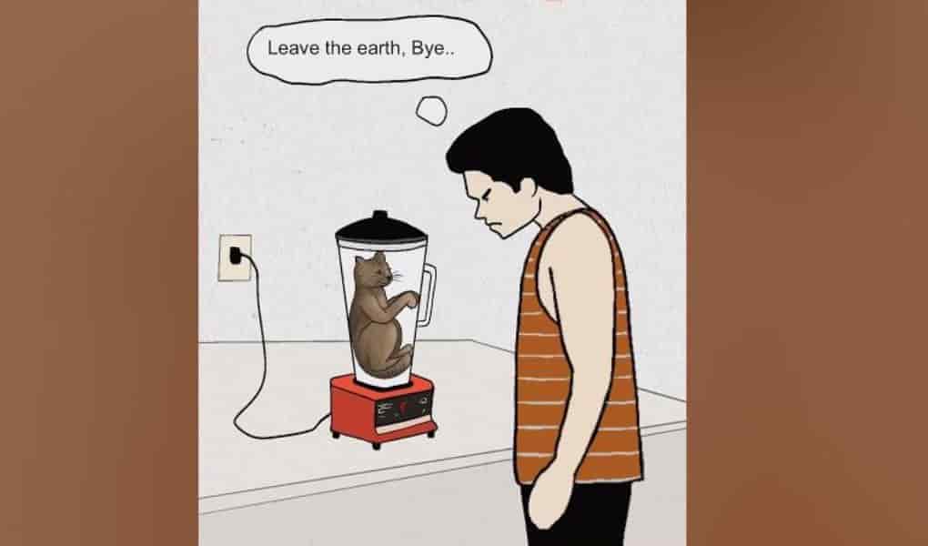 Is the Cat in the Blender Still Alive? Did the Cat in the Blender Die?